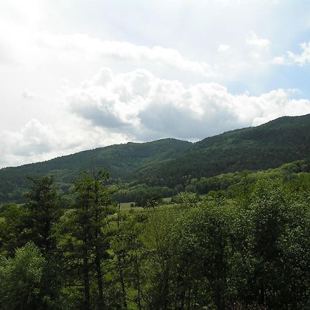 A L'Arbre Vert Wintzfelden Kültér fotó