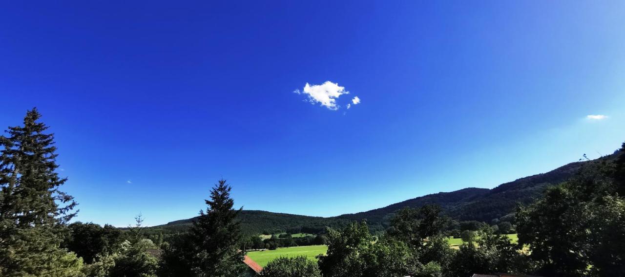 A L'Arbre Vert Wintzfelden Kültér fotó
