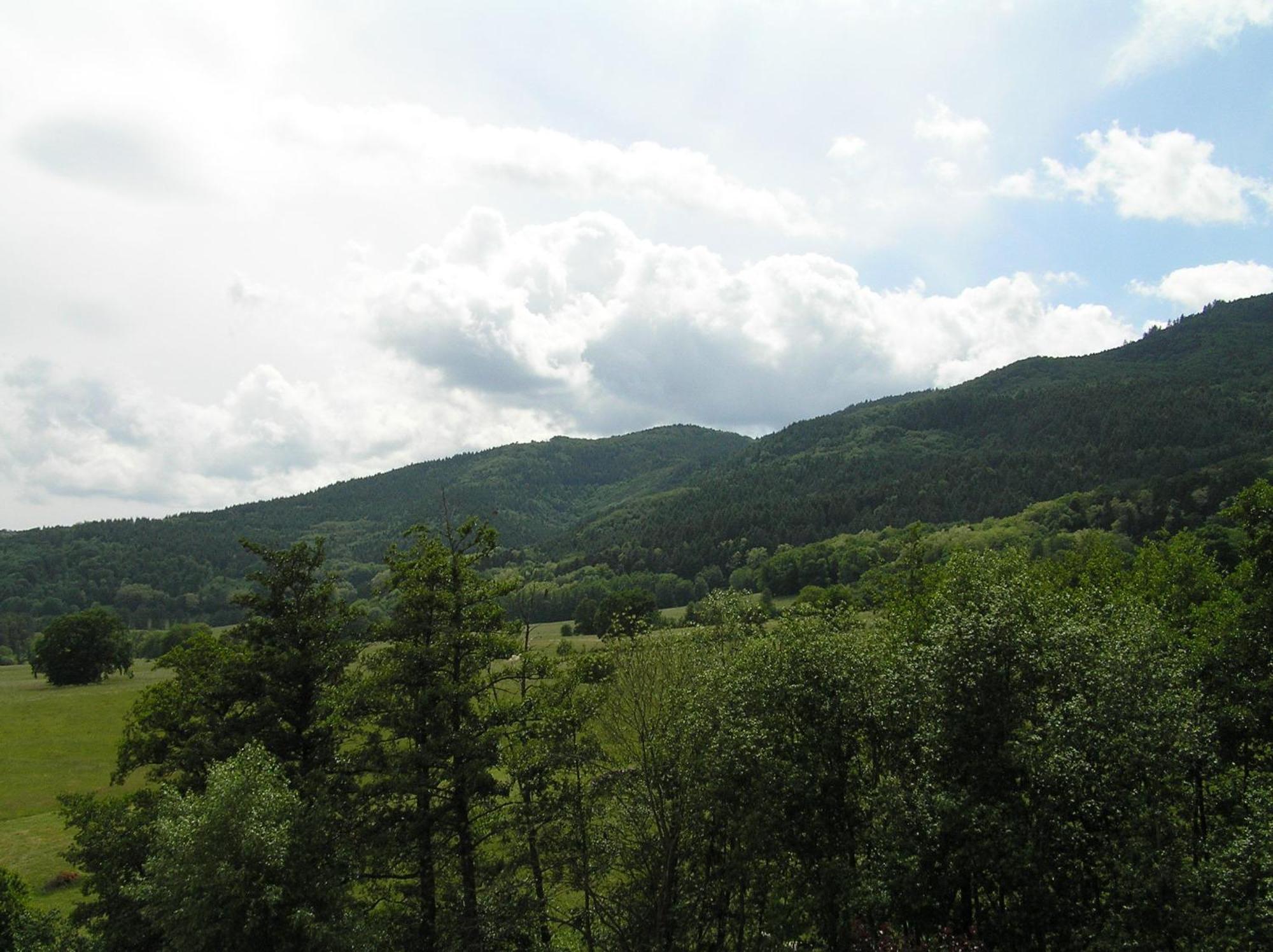 A L'Arbre Vert Wintzfelden Kültér fotó